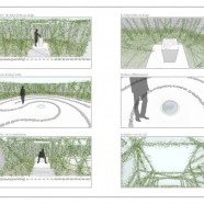 Chaumont sur Loire 2009